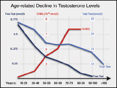 anyconv.com testosterone level decline